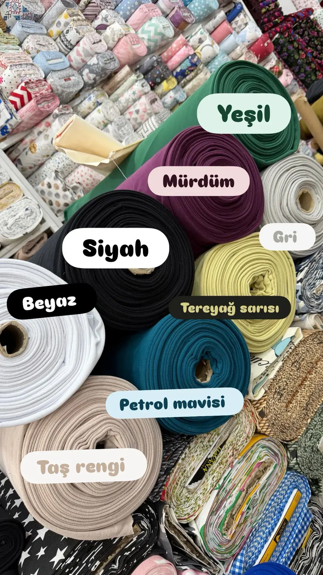3 İplik Penye Şardonsuz