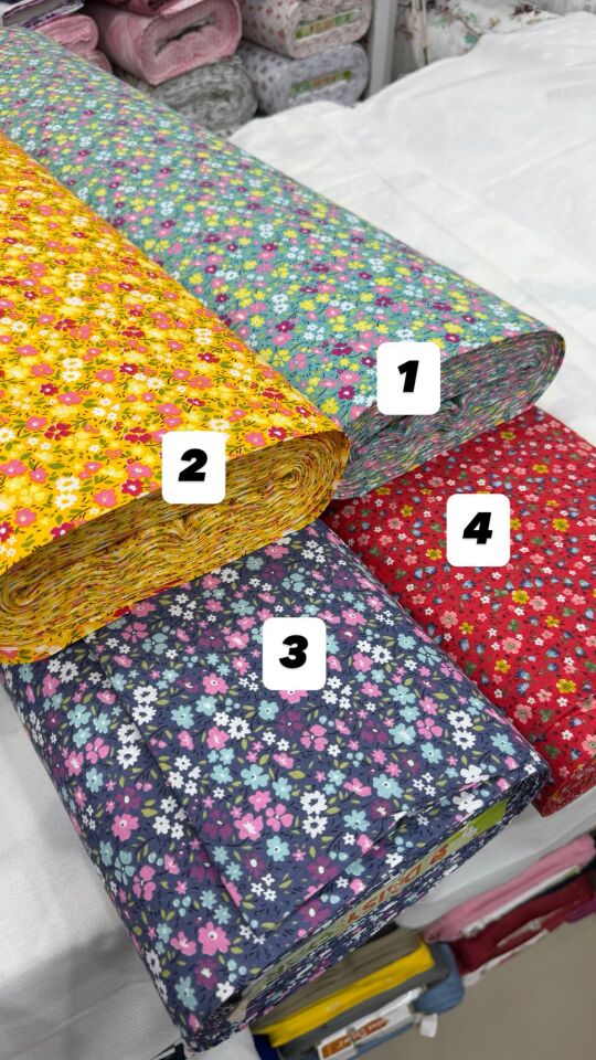 Daisy Star Poplin