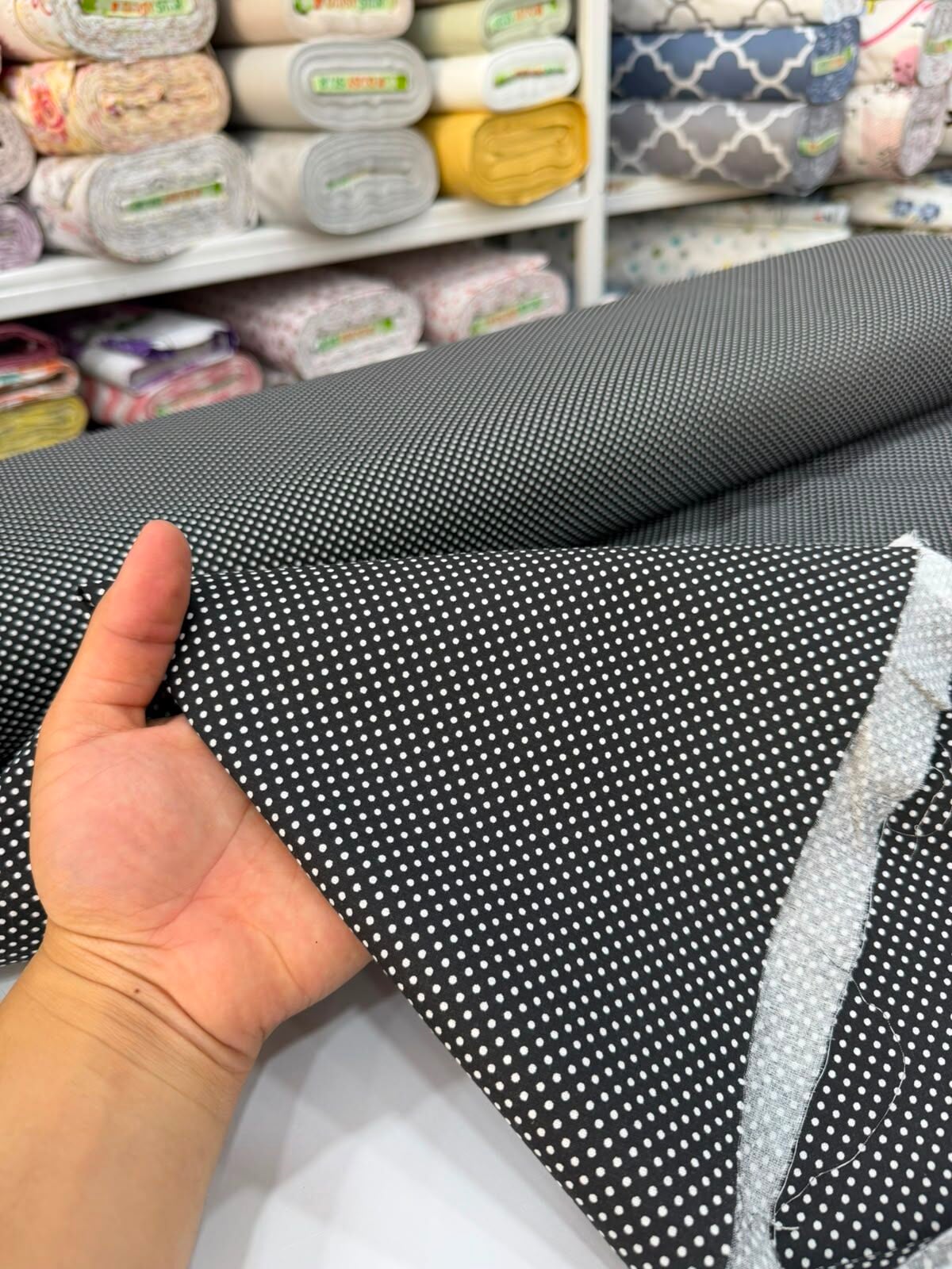 Puantiye Poplin